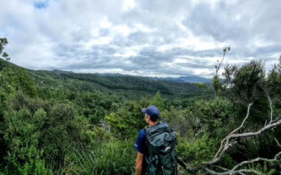 Jobs for Nature: Coromandel project connecting people, kiwi, & the whenua